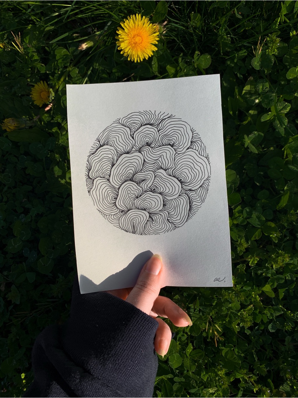 Minimalist bundle of lines art original drawing